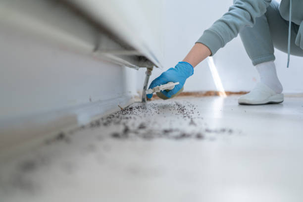 Best Wasp Removal Services  in Schlusser, PA